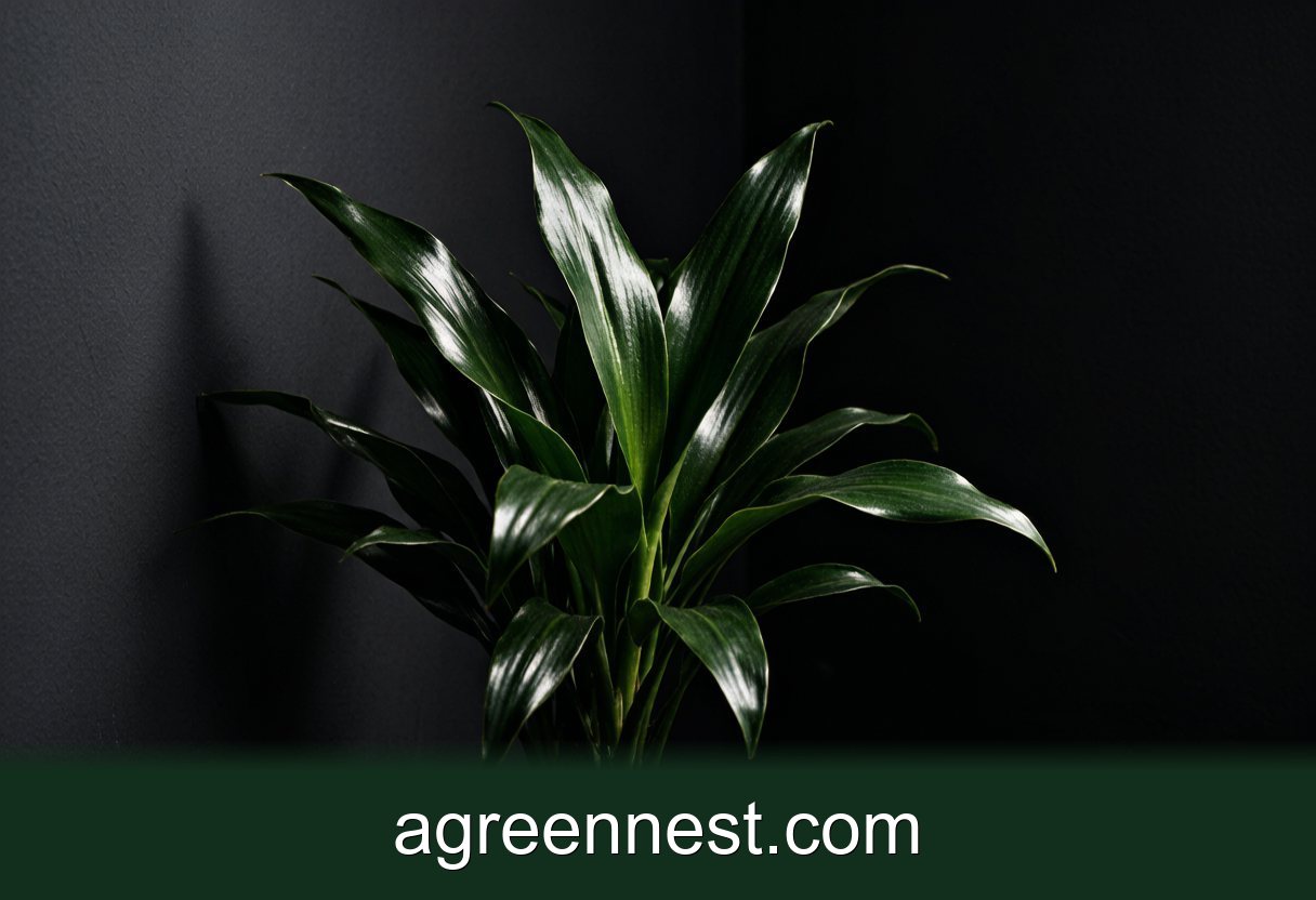 Cast Iron Plant Care: The Near-Indestructible Green